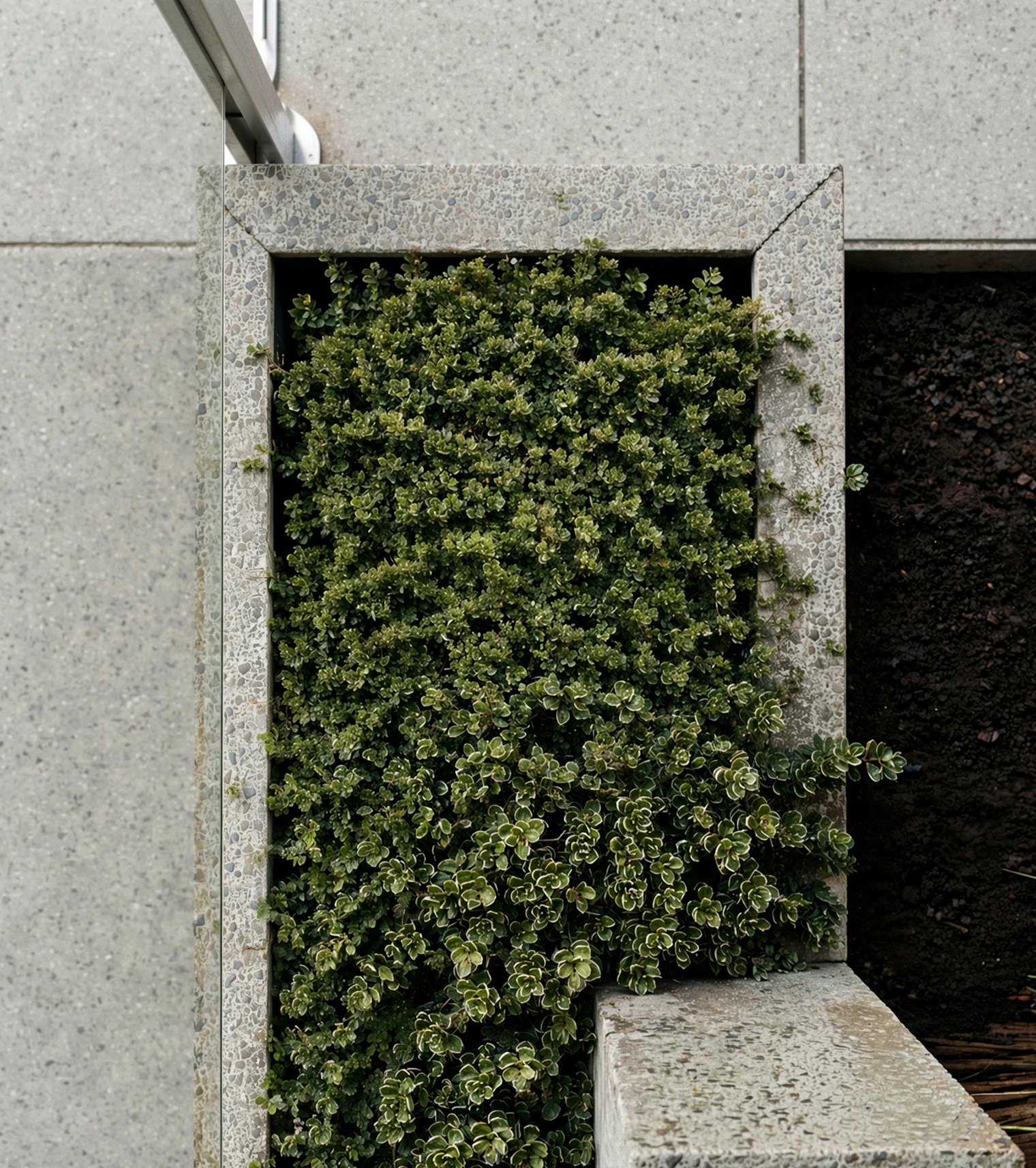 Jardim vertical